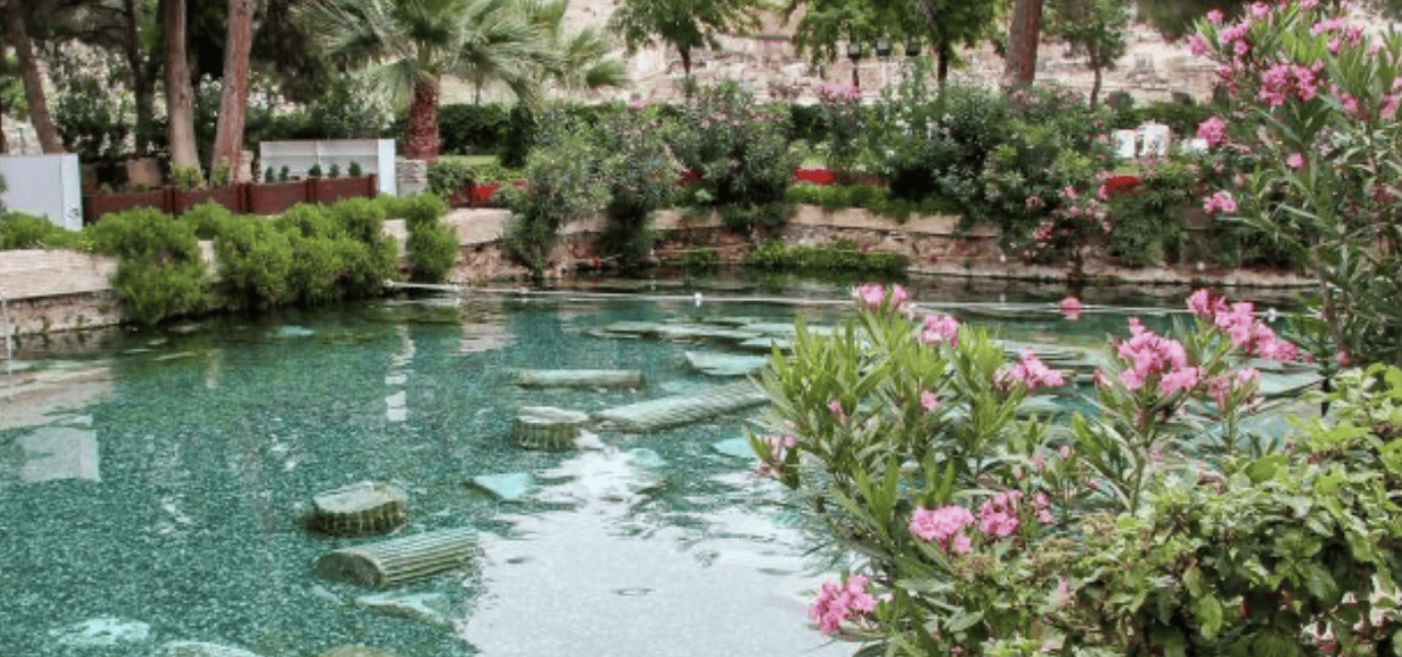 JARDIN MIZU - Paysagiste