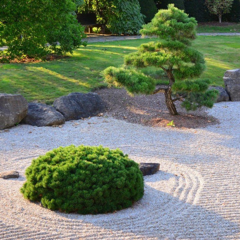 JARDIN MIZU - Paysagiste