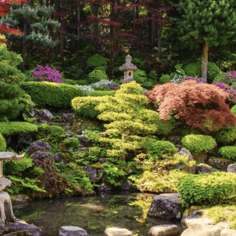 JARDIN MIZU - Paysagiste