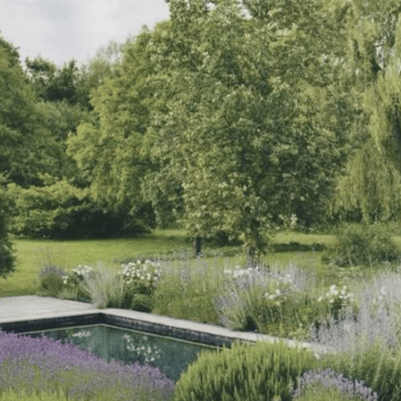 JARDIN MIZU - Paysagiste