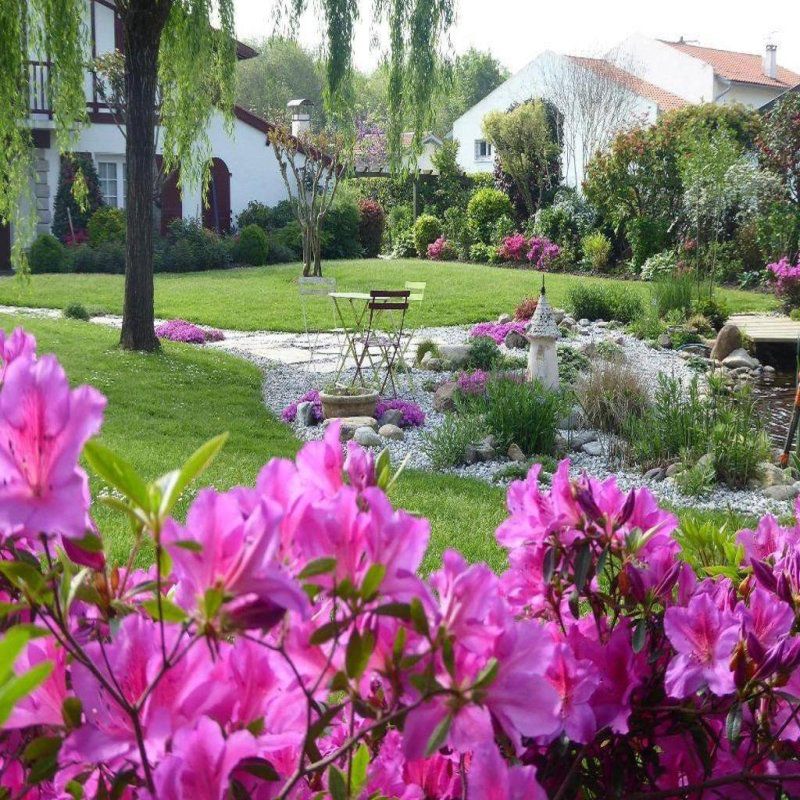 JARDIN MIZU - Paysagiste