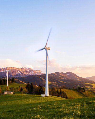 Paysagisme durable : Sublimez vos espaces extérieurs tout en respectant l’environnement